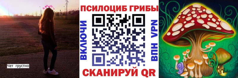 купить наркоту  Шиханы  это телеграм  Галлюциногенные грибы ЛСД 